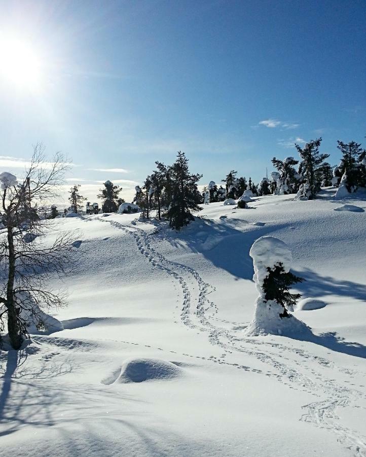 Hotel Seita Äkäslompolo Esterno foto